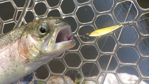 「サンクチュアリ」超久しぶり釣行　その１