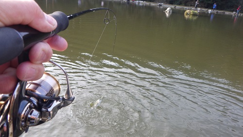 「サンクチュアリ」超久しぶり釣行　その１