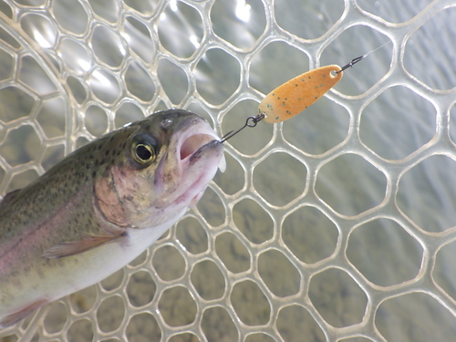 「北方ます釣り場」こんな日もあるよね　その4