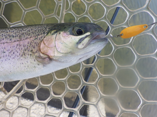 「北方ます釣り場」こんな日もあるよねPart2　その2
