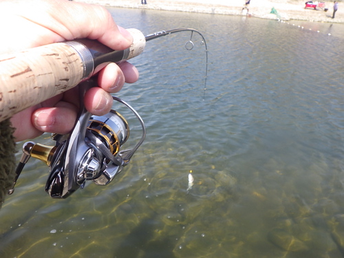 「北方ます釣り場」こんな日もあるよねPart2　その2