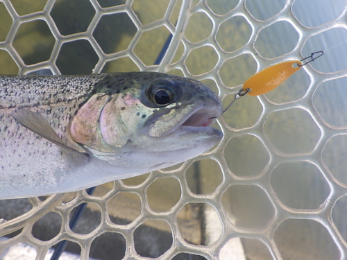 「北方ます釣り場」こんな日もあるよねPart2　その2