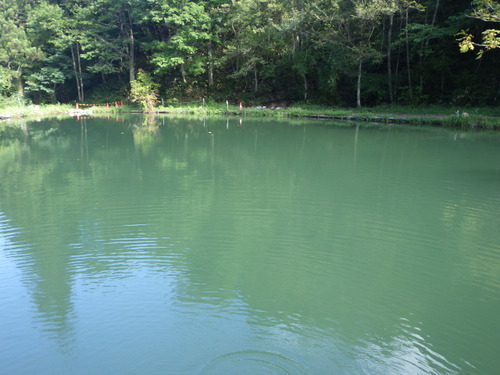 「鱒蔵」秋の気配が感じる1日でした　最終話