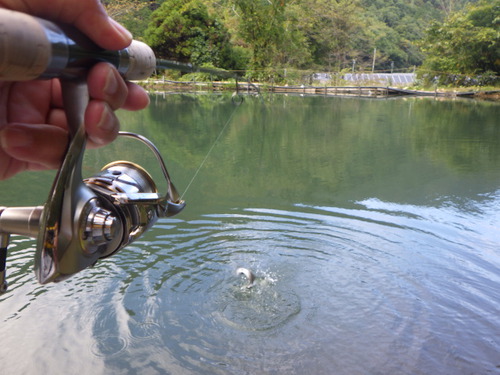 「鱒蔵」すっかり秋になりましたね　最終話