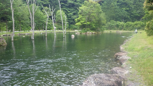 朽木こがわ渓流センター釣行記　その１