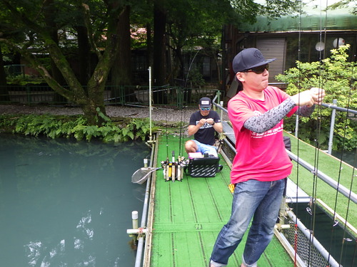「醒ヶ井養鱒場」名人戦エントリーを兼ねて釣行   その２