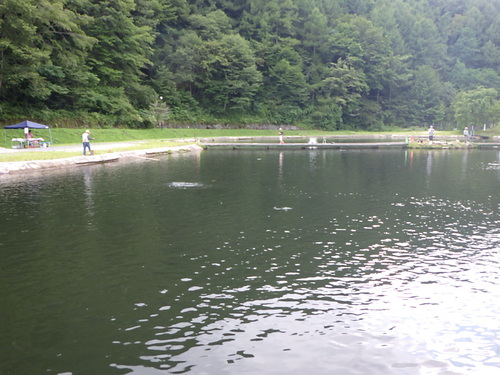 「平谷湖FS」もろこし祭り　最終話