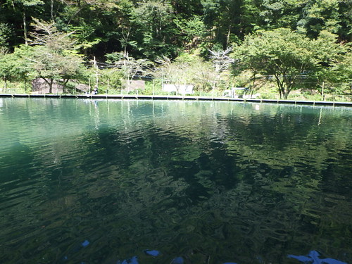 「醒ヶ井養鱒場」こんなことになるなんて   その１