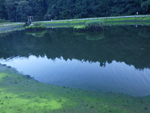 必見「サンクチュアリ第2ポンド」地形写真