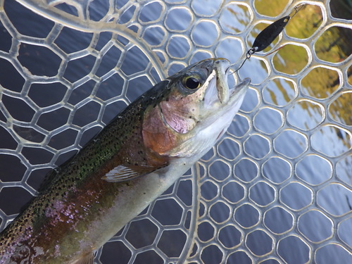 「平谷湖FS」先週のリベンジを果たせ     その４