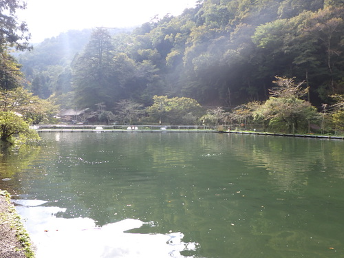 トラウトキング選手権大会「平谷湖トライアル戦」＆「醒ヶ井養鱒場」秋の変化を読み取れ　その３