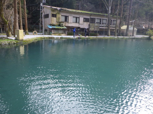 「醒ヶ井養鱒場」休館前釣行　最終話