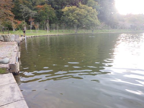 ｢東山湖FA｣久しぶり弾丸ツアー　最終話