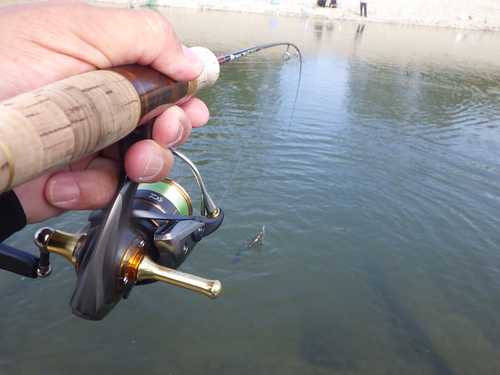 misson「北方ます釣り場」を攻略せよ その4