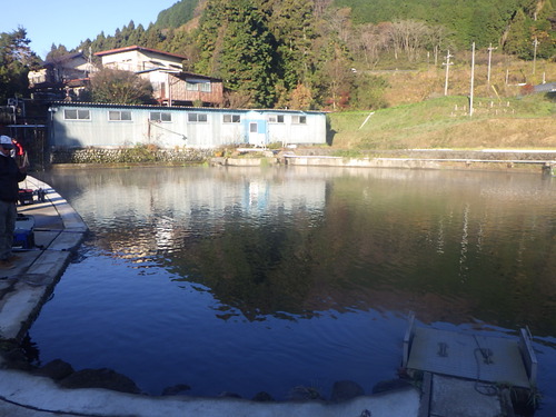 初釣行！「須川フィッシングパーク」にいってきました　その2