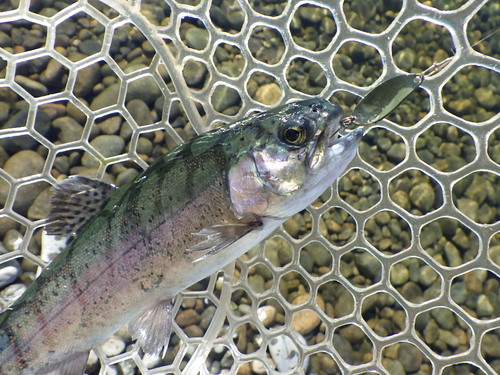 ｢北方ます釣り場｣全ブースをまわってみた　その２