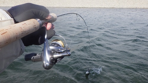 「北方ます釣り場」極寒釣行　その２