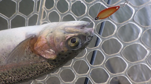 「北方ます釣り場」極寒釣行　その２