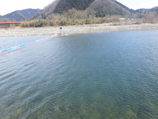 「NEOGAWA管理釣り場」今年はいいかも　その3 2023/03/10 02:00:00