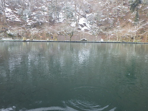 ｢醒ヶ井養鱒場｣大雪釣行　最終話