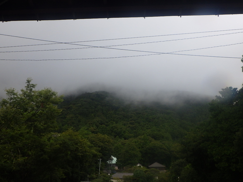 「サンクチュアリ」雨の日だけど行ってきました　その２