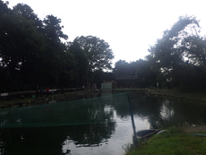 「サンクチュアリ」雨の日だけど行ってきました　その３ 2023/09/13 21:54:27