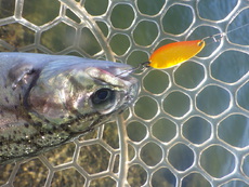 「北方ます釣り場」2023年オープンに行ってきました　最終話 2023/10/31 21:12:22