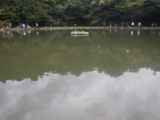 「サンクチュアリ」鉄板王参戦記　その２ 2023/11/14 19:45:51