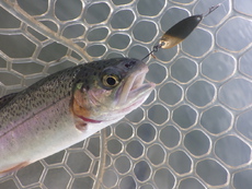 「北方ます釣り場」1日攻略してみた　その２ 2023/11/22 19:39:58