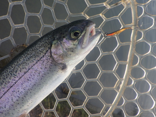 「北方ます釣り場」1日フルでやってみた　その１