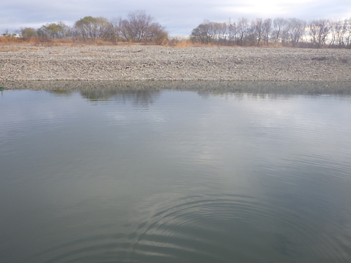 「北方ます釣り場」1日フルでやってみた　その１