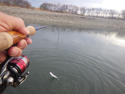 「北方ます釣り場」1日フルでやってみた　その１