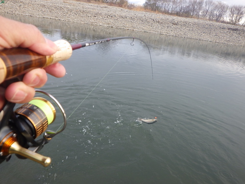 「北方ます釣り場」1日フルでやってみた　その１