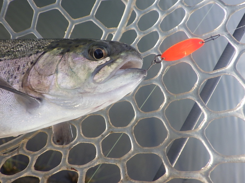 「北方ます釣り場」1日フルでやってみた　その１