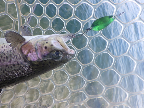 「北方ます釣り場」強風の中、釣る方法　その２
