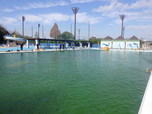 初釣行！「日進市総合運動公園プールフィッシング」その２
