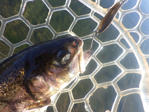「北方ます釣り場」またまた爆風な日釣行　その１