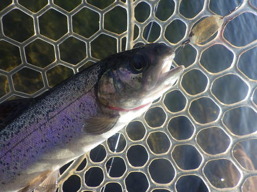 「北方ます釣り場」またまた爆風な日釣行　その１