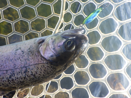 「北方ます釣り場」またまた爆風な日釣行　その１