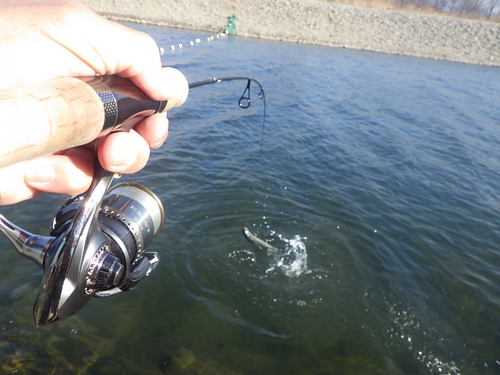 「北方ます釣り場」またまた爆風な日釣行　その１