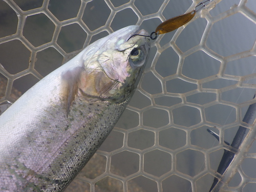 「北方ます釣り場」こんな日もありますね