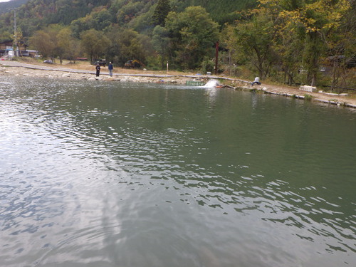 「鱒蔵」午後から2号池へ、気持ちを入れ替えて　その4