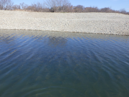 「北方ます釣り場」最近の状況はどうかな？