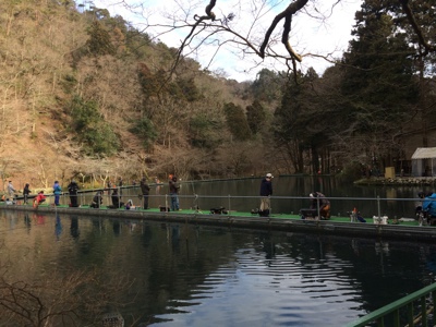 勉強させて頂きました：醒ヶ井養鱒場