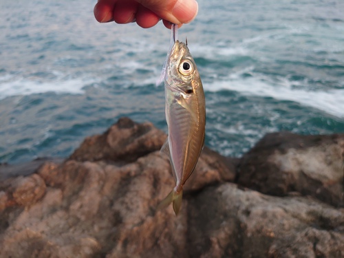 忘れ物注意