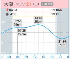 2020年6月21日エギング