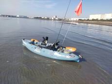 湾奥シーバス