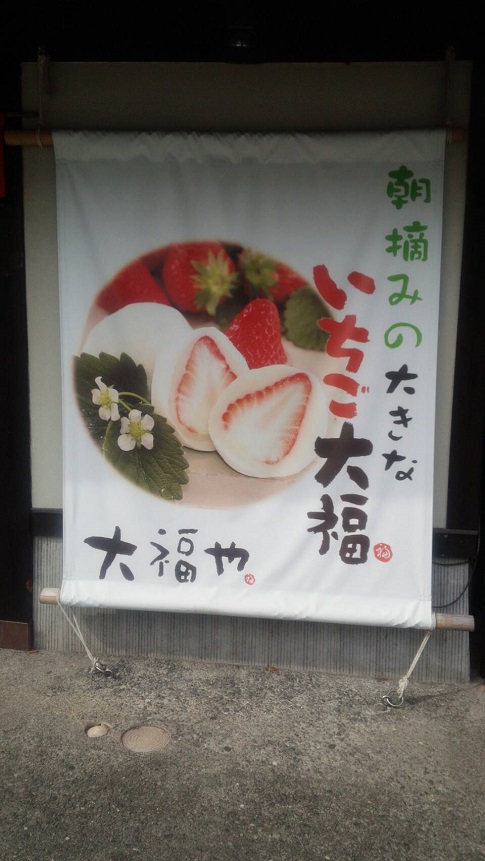119回目釣行記