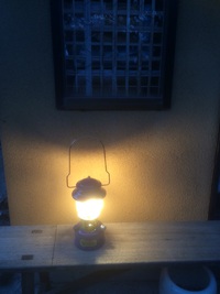 今日はランタン 2015/05/18 06:28:13