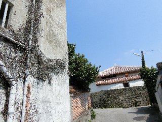 ちょこっと慶良間諸島&那覇♪